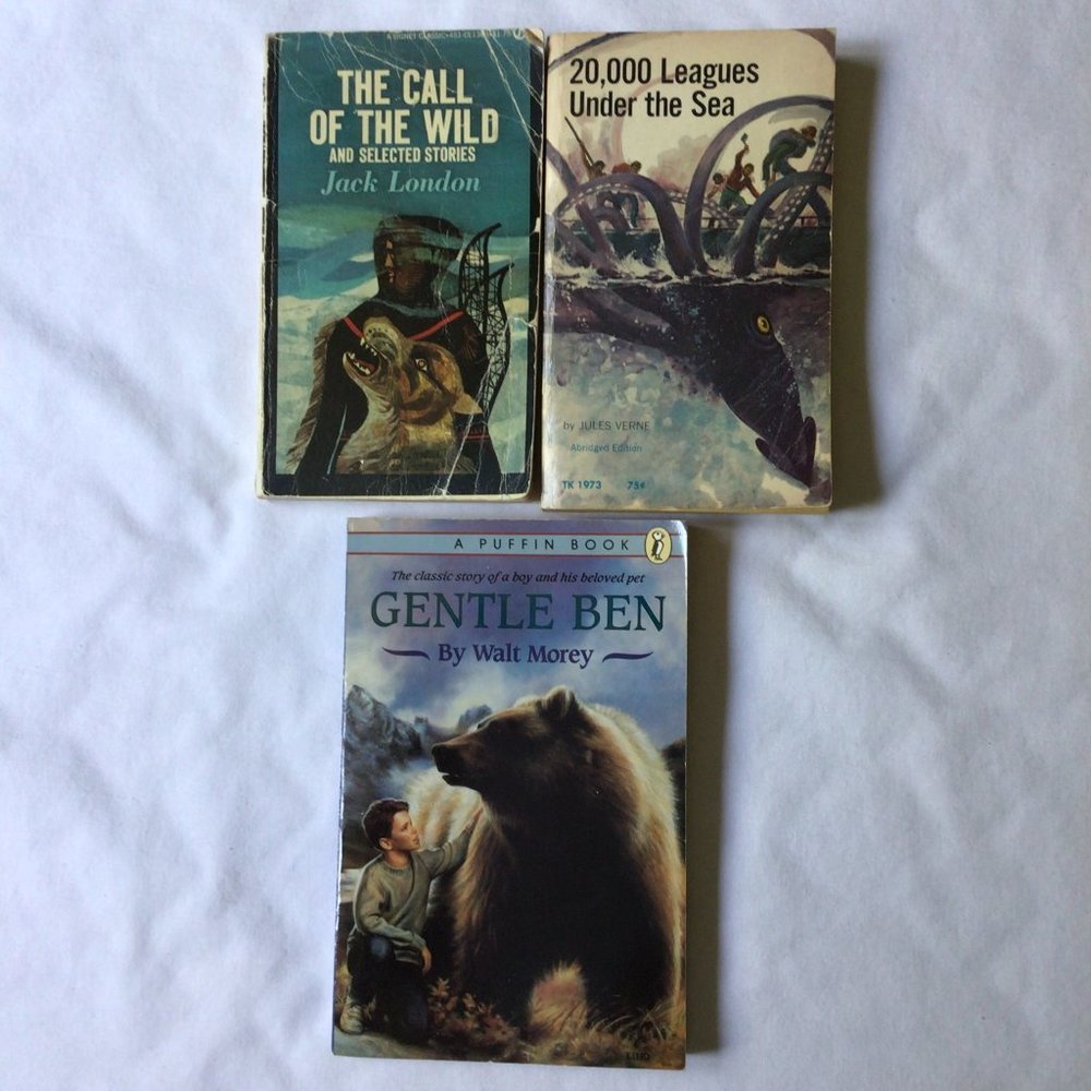 Three Classic title books; The Call of the Wild, 20,000 Leagues Under the Sea, a